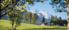 wunderschöner Panoromablick auf die Alpen